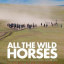 Дикие лошади