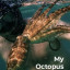 Мой учитель-осьминог