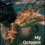 Мой учитель-осьминог