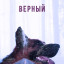 Верный